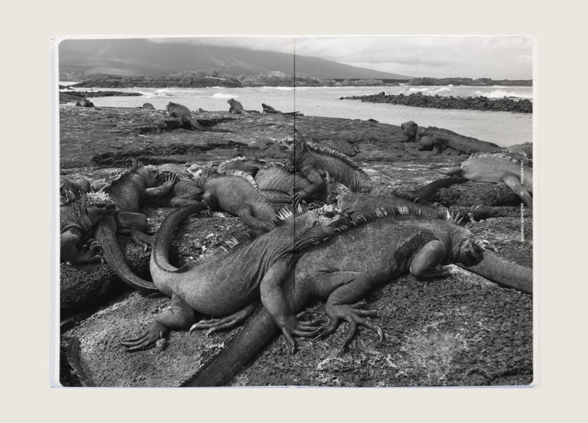 crocs-eldorado-folch-studios-travel-magazine