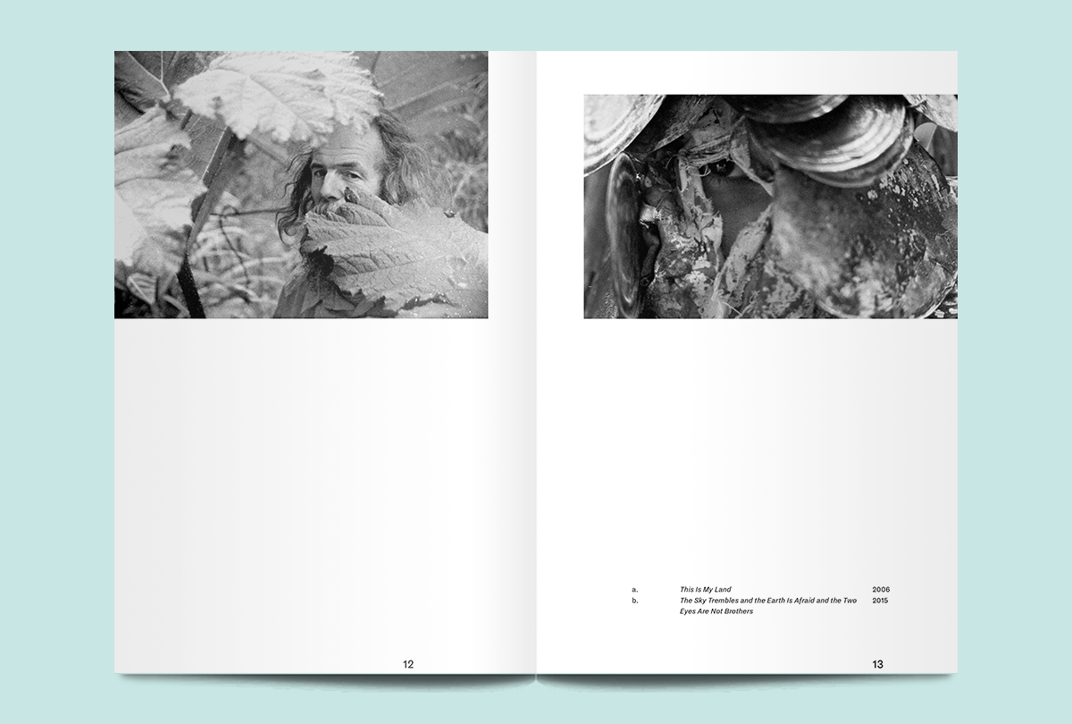 fireflies-magazine-woodland