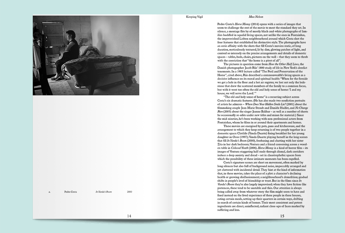 fireflies-max-nelson