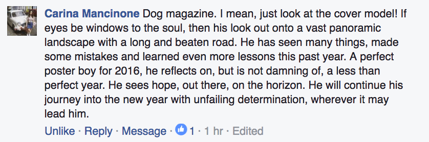 screen-shot-2016-12-20-at-15-47-50