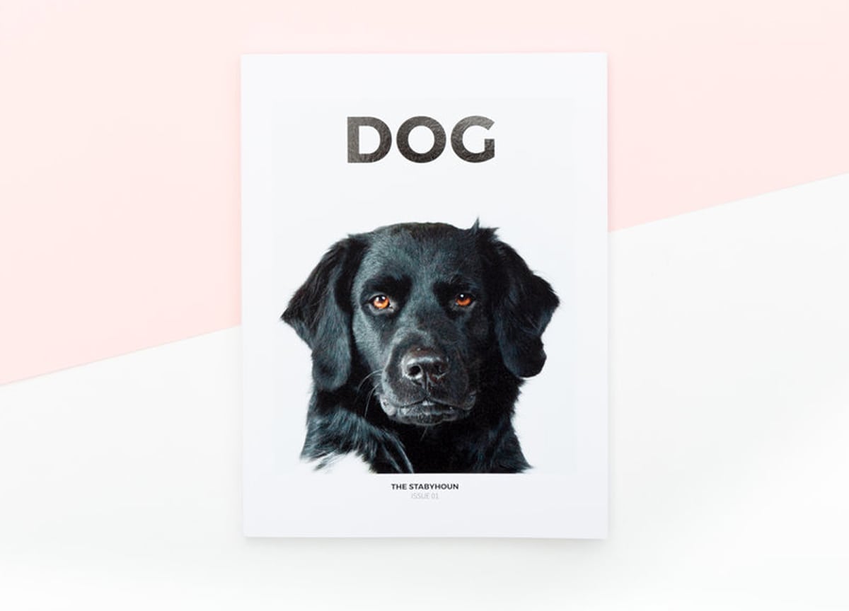 dog-magazine-cover