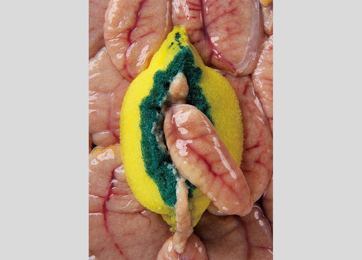 ordinary-magazine-photography-sponge-yumiko-utsu