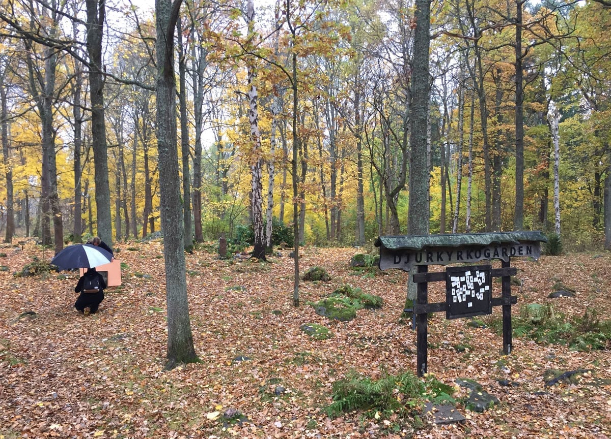 pet-people-magazine-cemetery