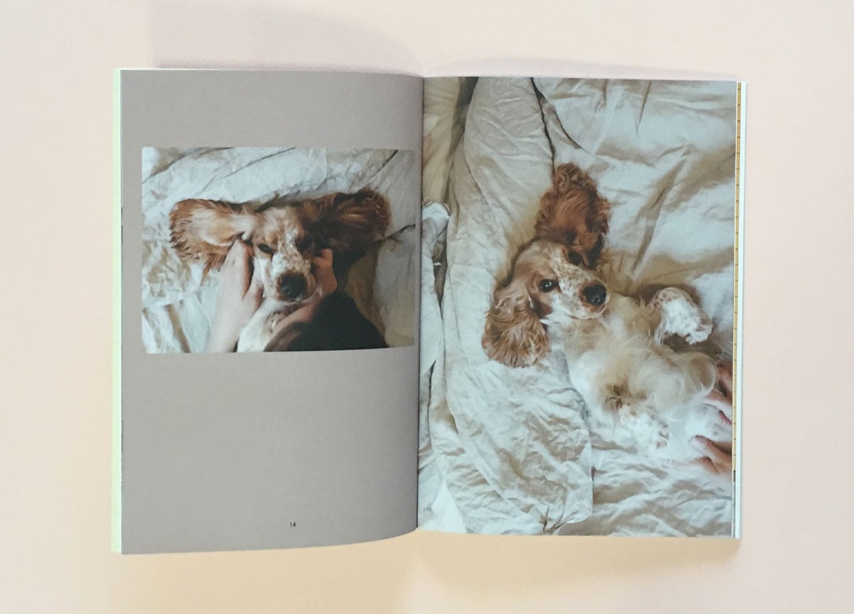 pet-people-magazine-cocker-spaniel