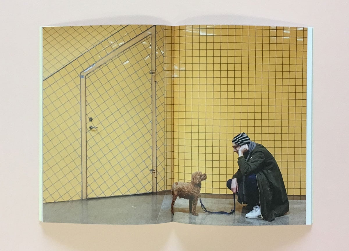 pet-people-magazine-poodle