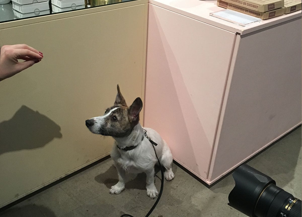 pet-people-magazine-shop