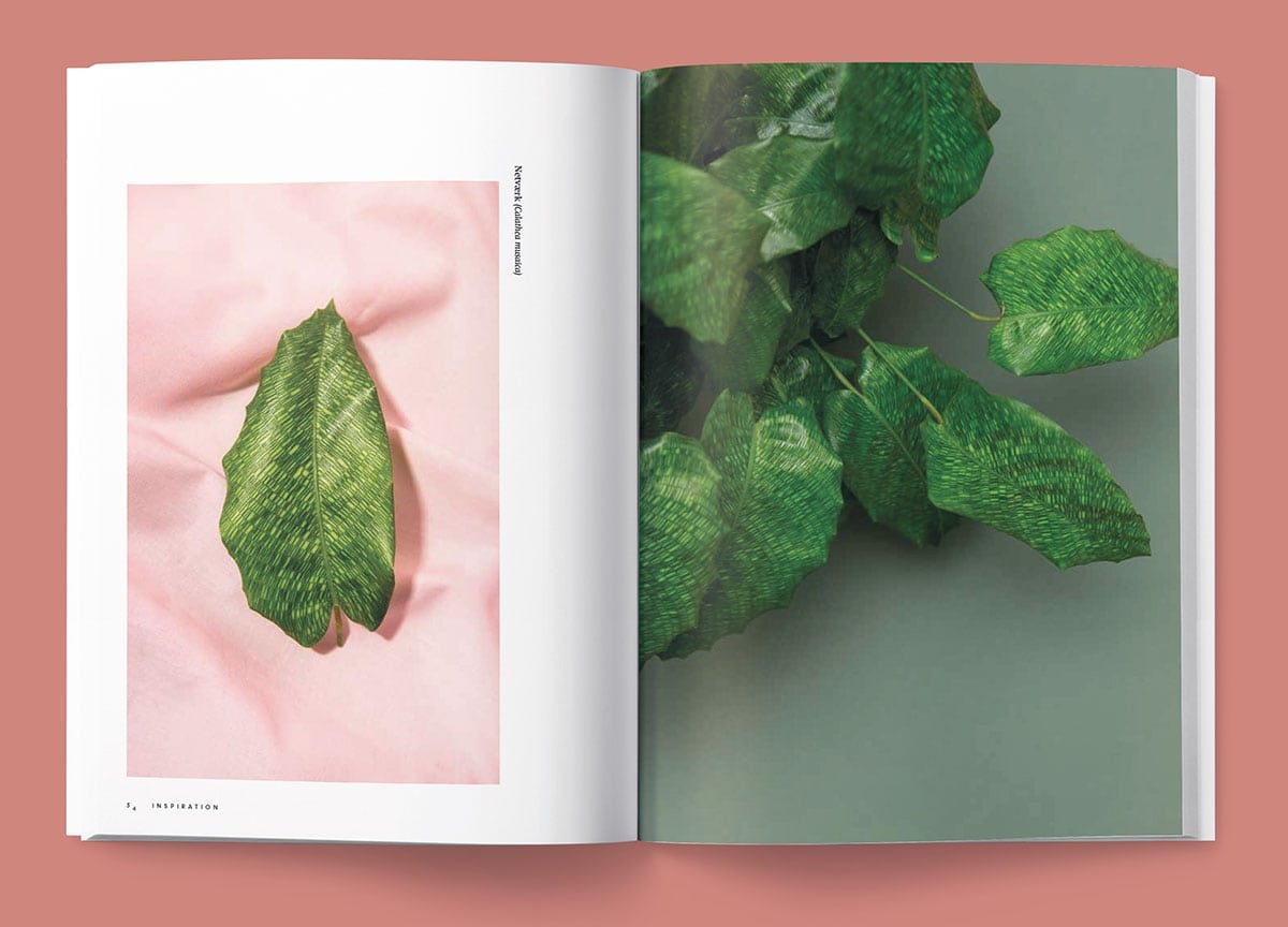 blad-magazine-plants-leaves