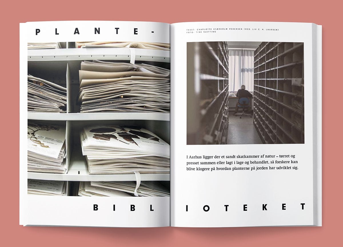 blad-magazine-plants-library