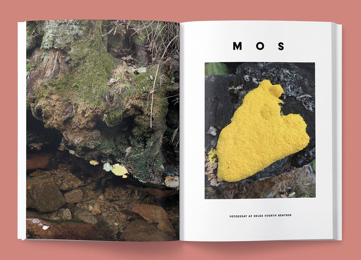 blad-magazine-plants-moss