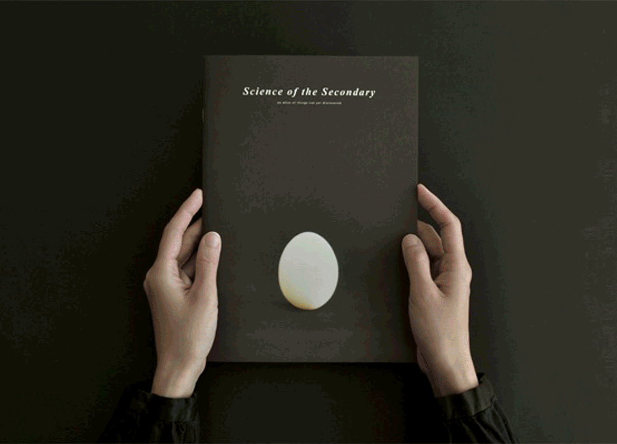 science-of-secondary-egg