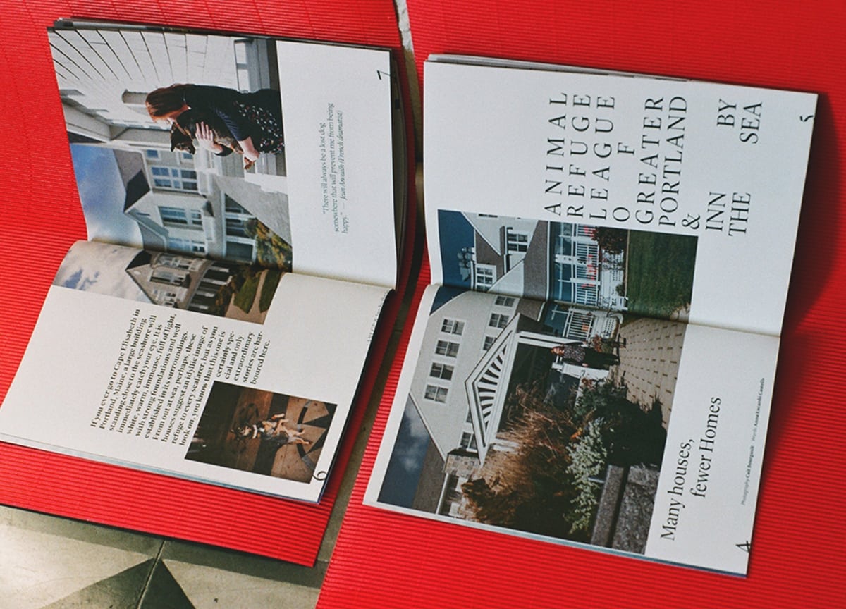 agapornis-magazine-pets-animal-rescue