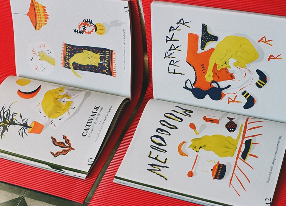 agapornis-magazine-pets-catwalk