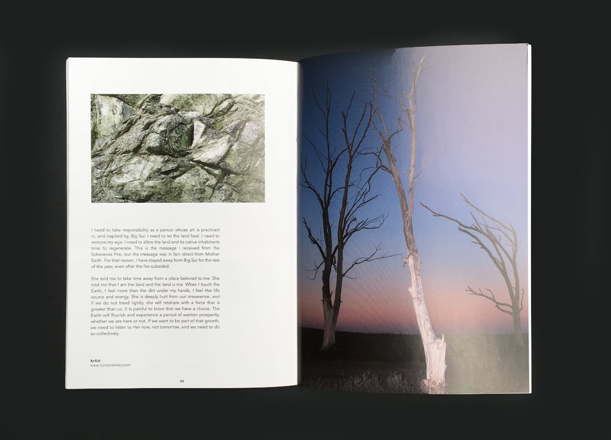 nora-lowinsky-the-earth-issue