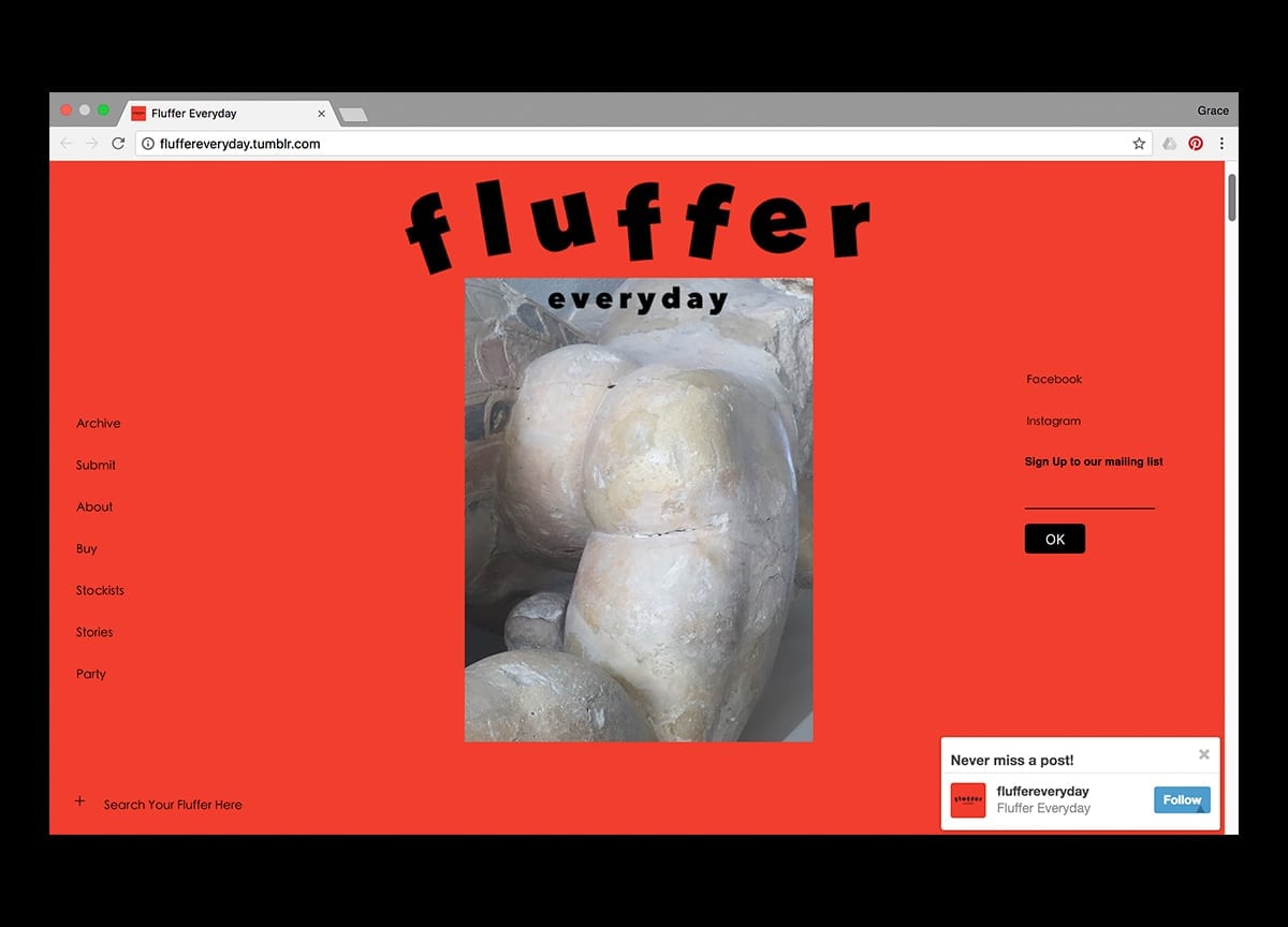 fluffer-everyday-magazine-tumblr