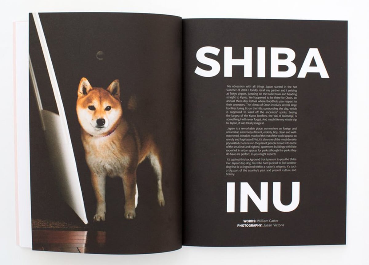 read-dog-magazine-shiba-inu-2