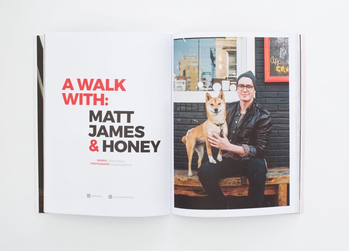 read-dog-magazine-shiba-inu-honey