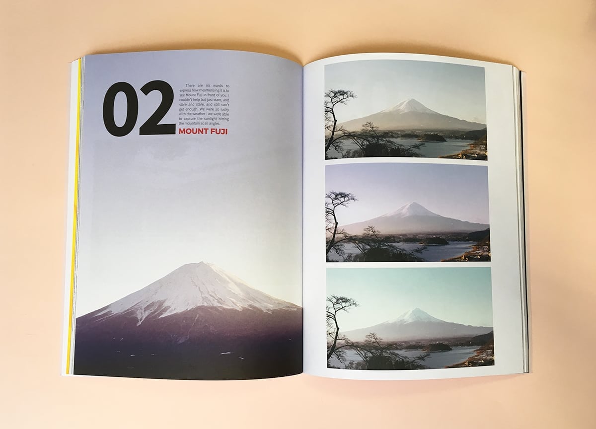 read-dog-magazine-shiba-inu-mount-fuji