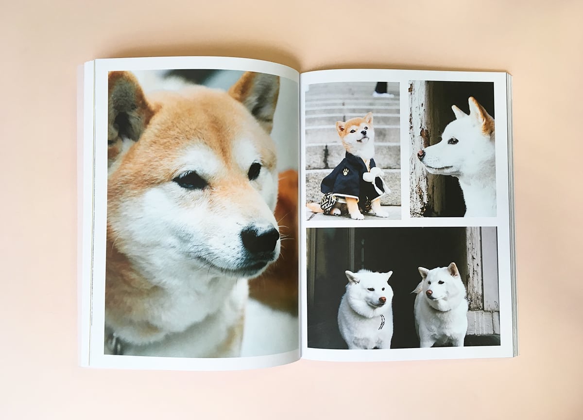 read-dog-magazine-shiba-inu-tokyo