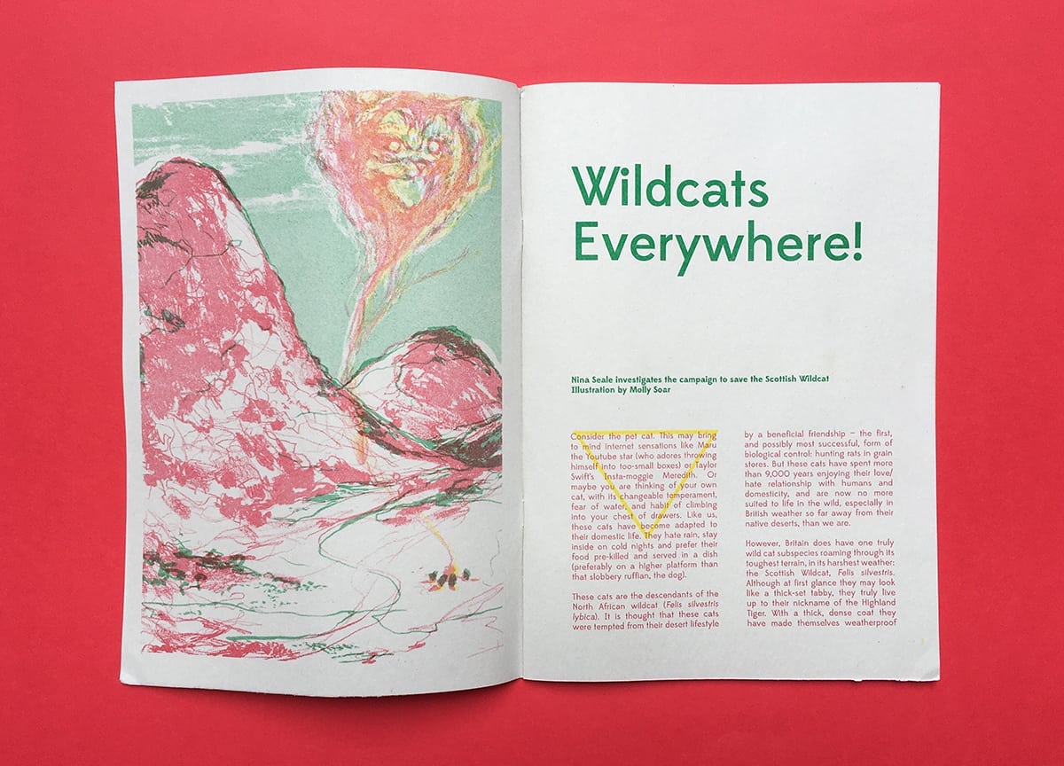 counterpoint-magazine-6-survival-cover-wildcats