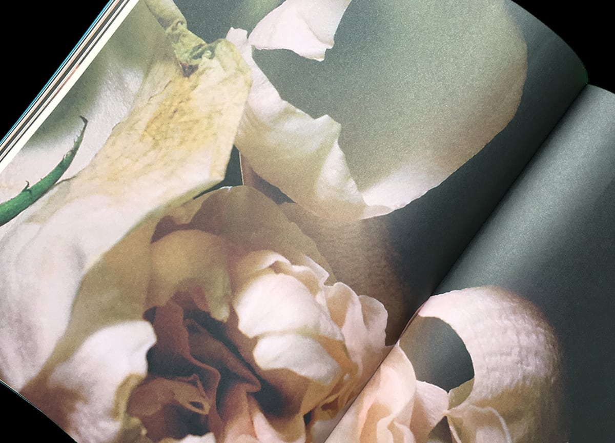 romance-journal-emotions-blooming-flower