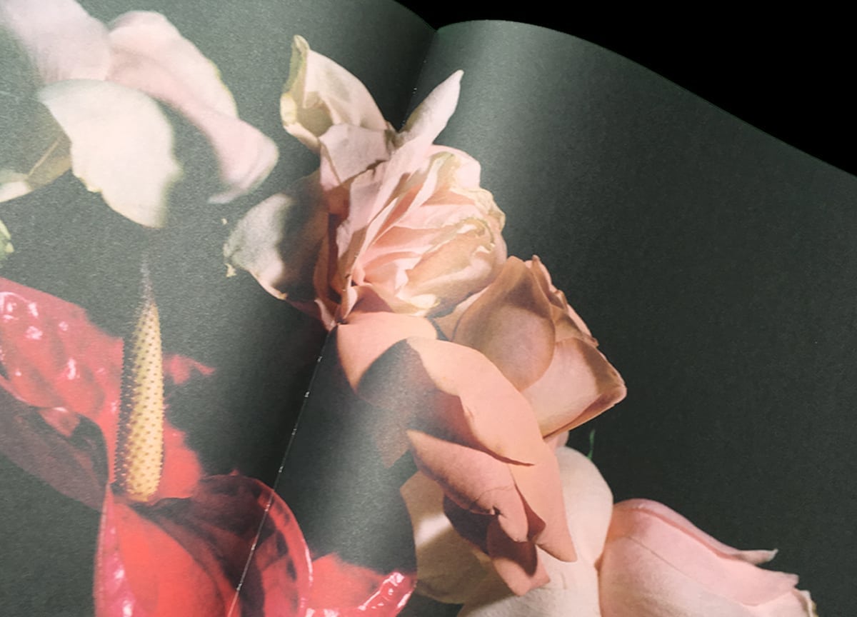 romance-journal-emotions-petals