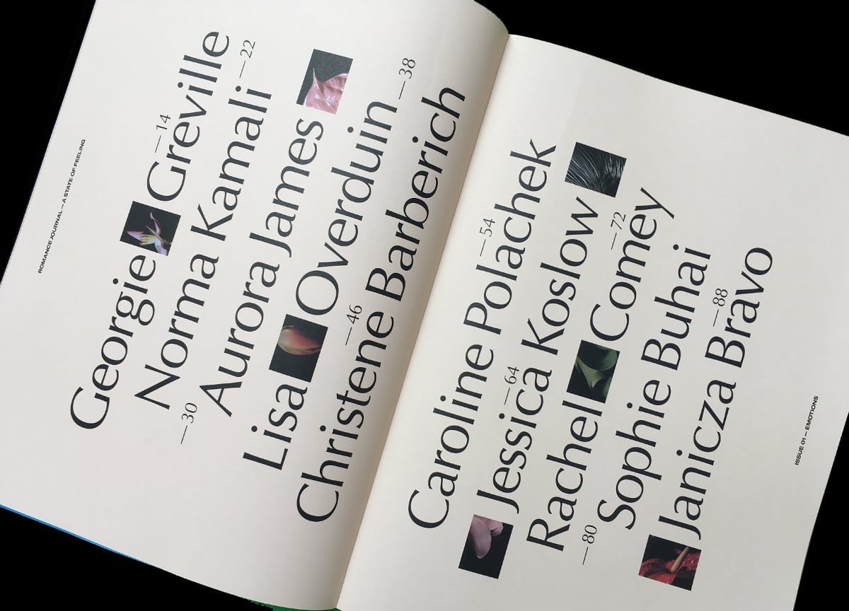 romance-journal-emotions-roanne-adams