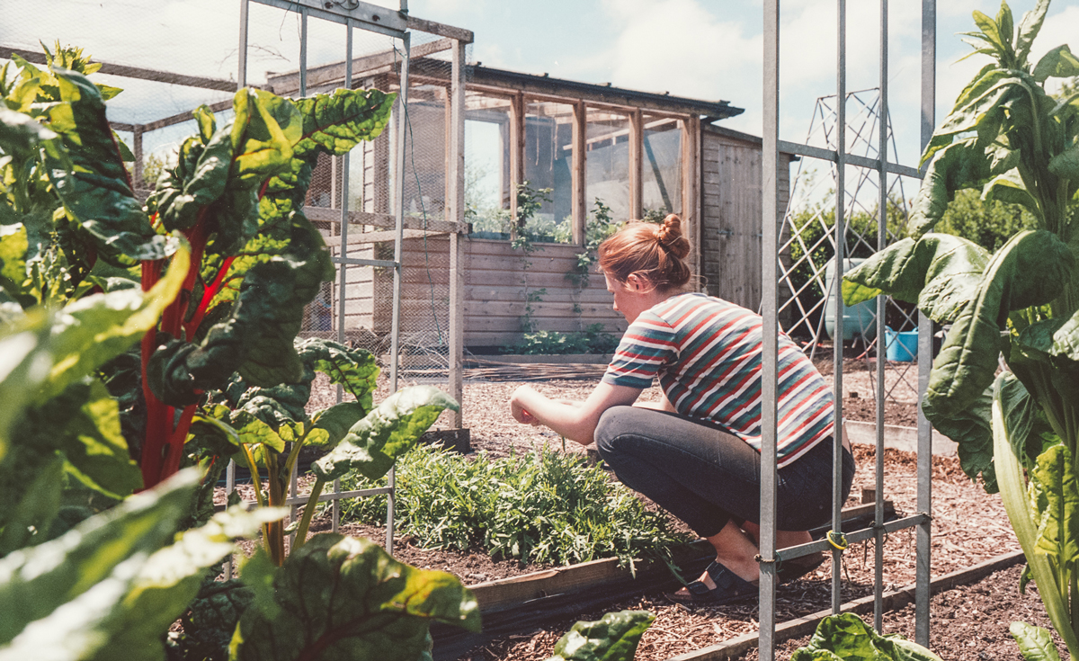 rolling-home-journal-3-lauren-smith