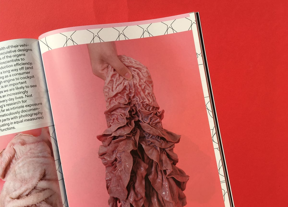 mold-magazine-food-future-digestive-cow