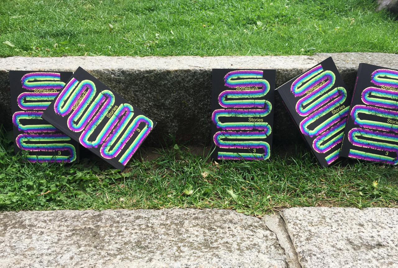 somesuch-stories-3-grass