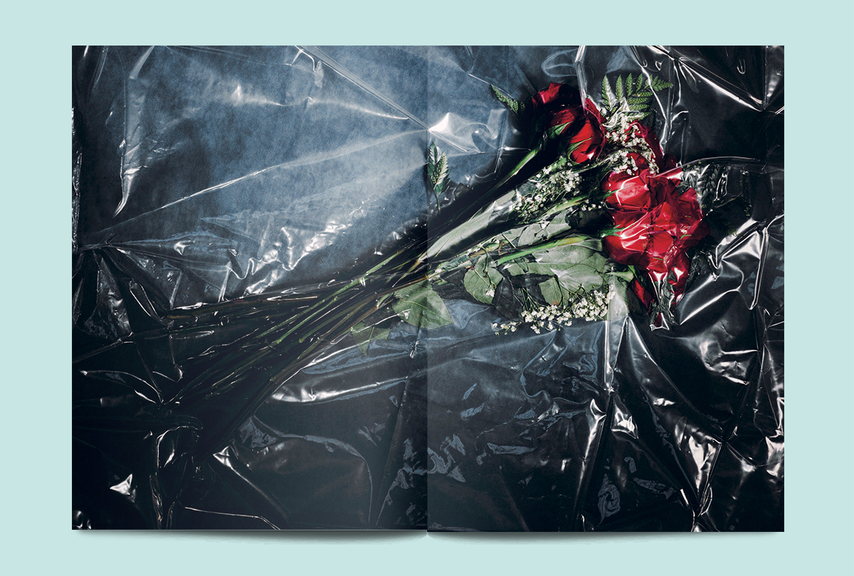 romance-journal-resistance-rose