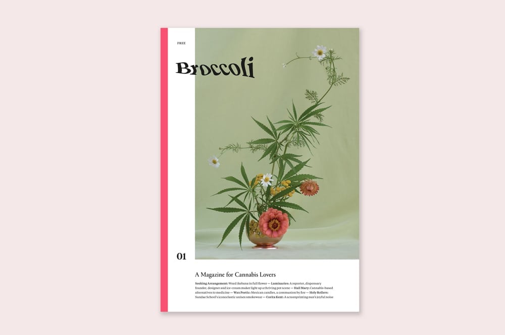 broccoli-magazine-cannabis-culture-interview