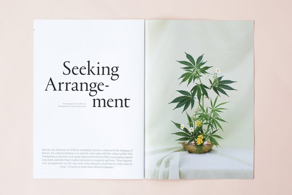 broccoli-magazine-seeking-arrangement