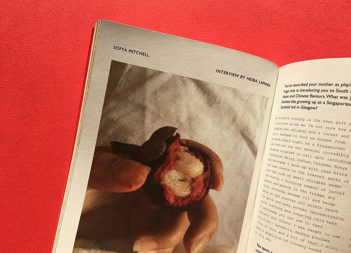 oomk-zine-food-issue-sofya-mitchell