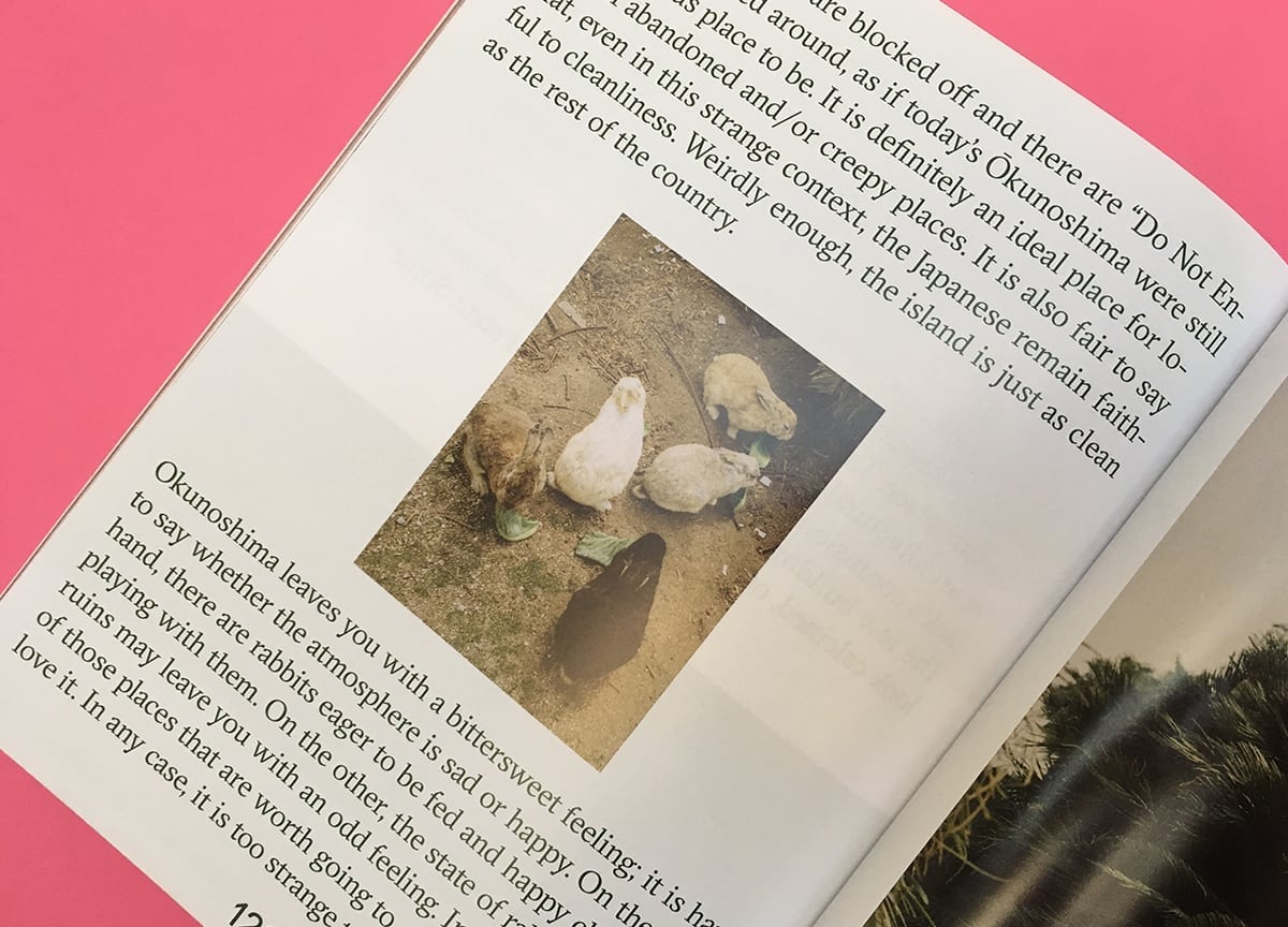 agapornis-magazine-issue-5-rabbits