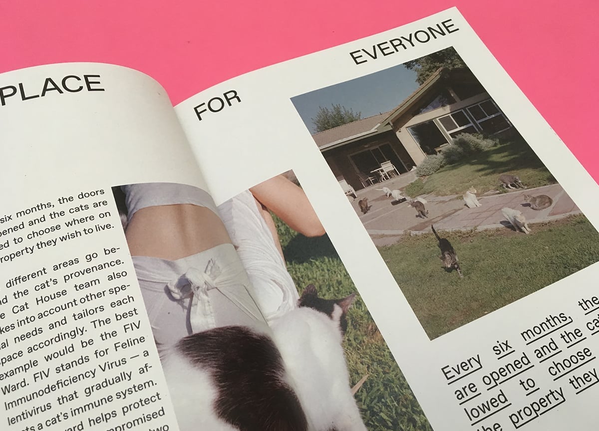 cats-agapornis-magazine-issue-5
