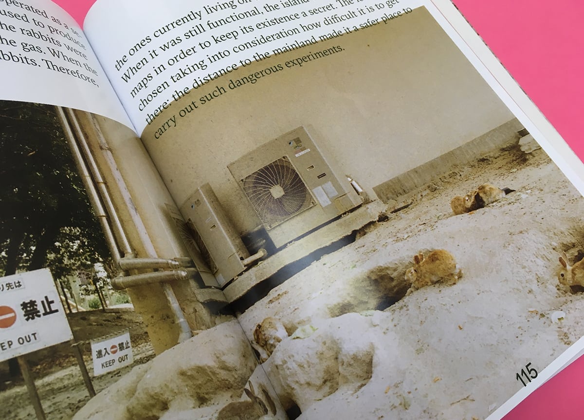 okunoshima-agapornis-magazine-issue-5