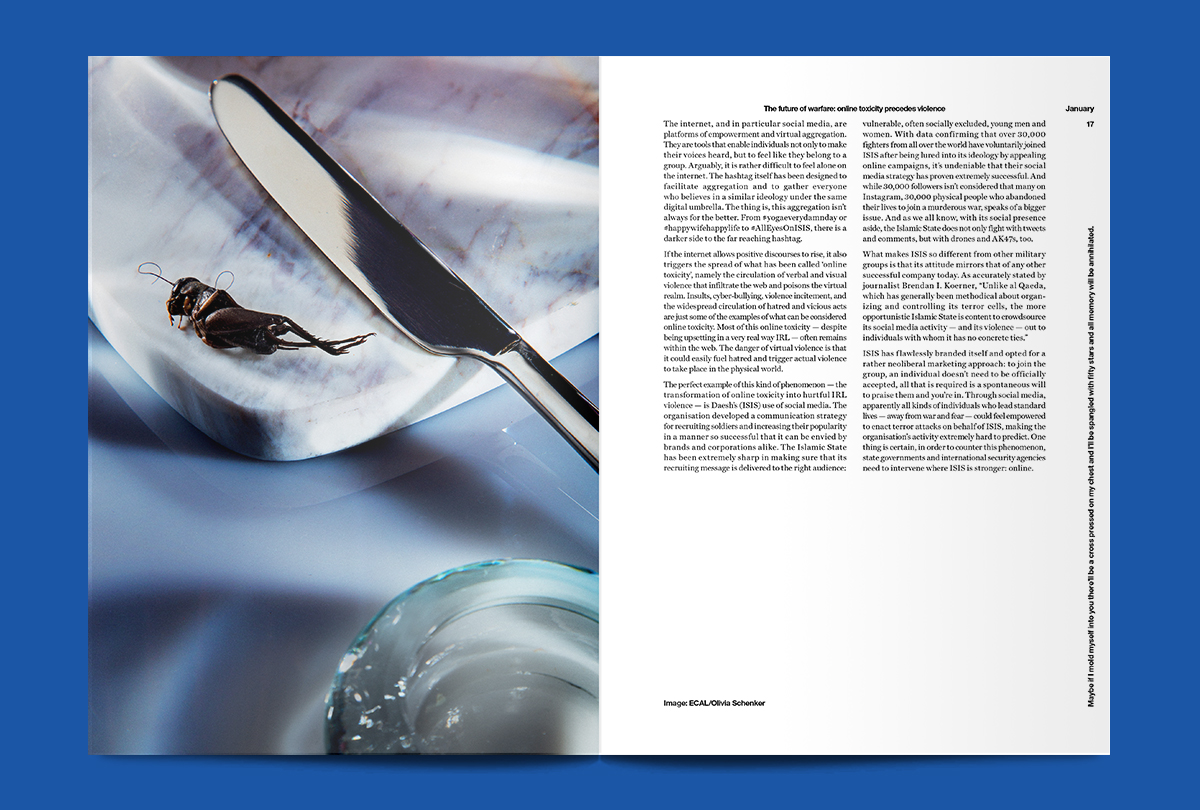 screen-shot-magazine-bug