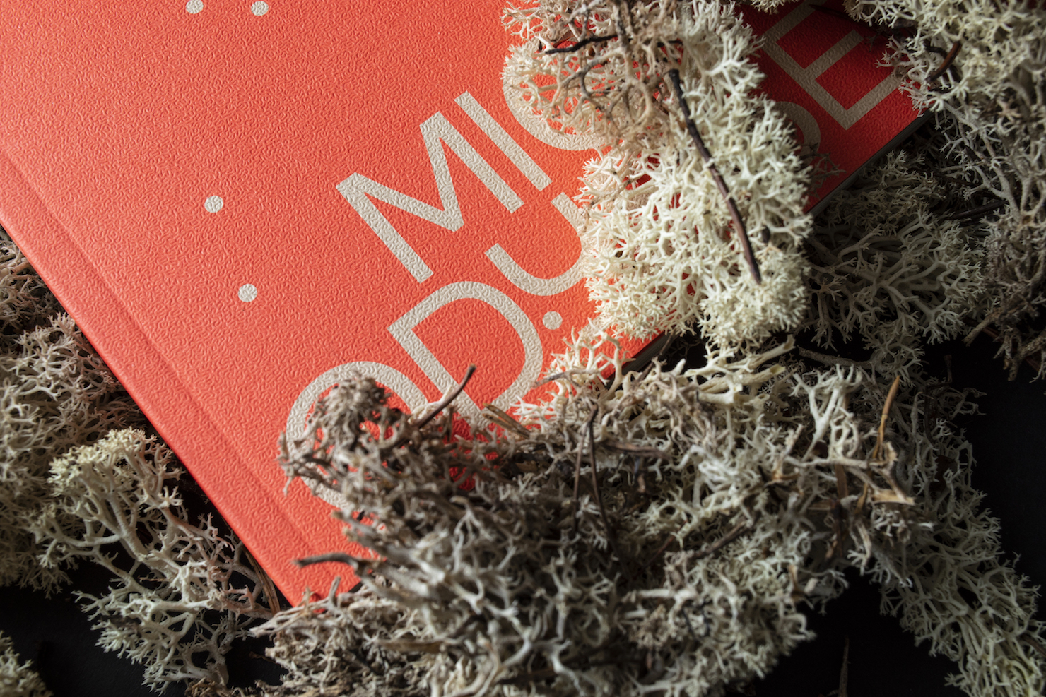 Migrant Journal offers readers a microscopic take on the bigger picture ...