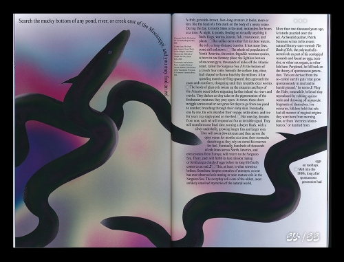 Feeeels issue 2 - STACK magazines