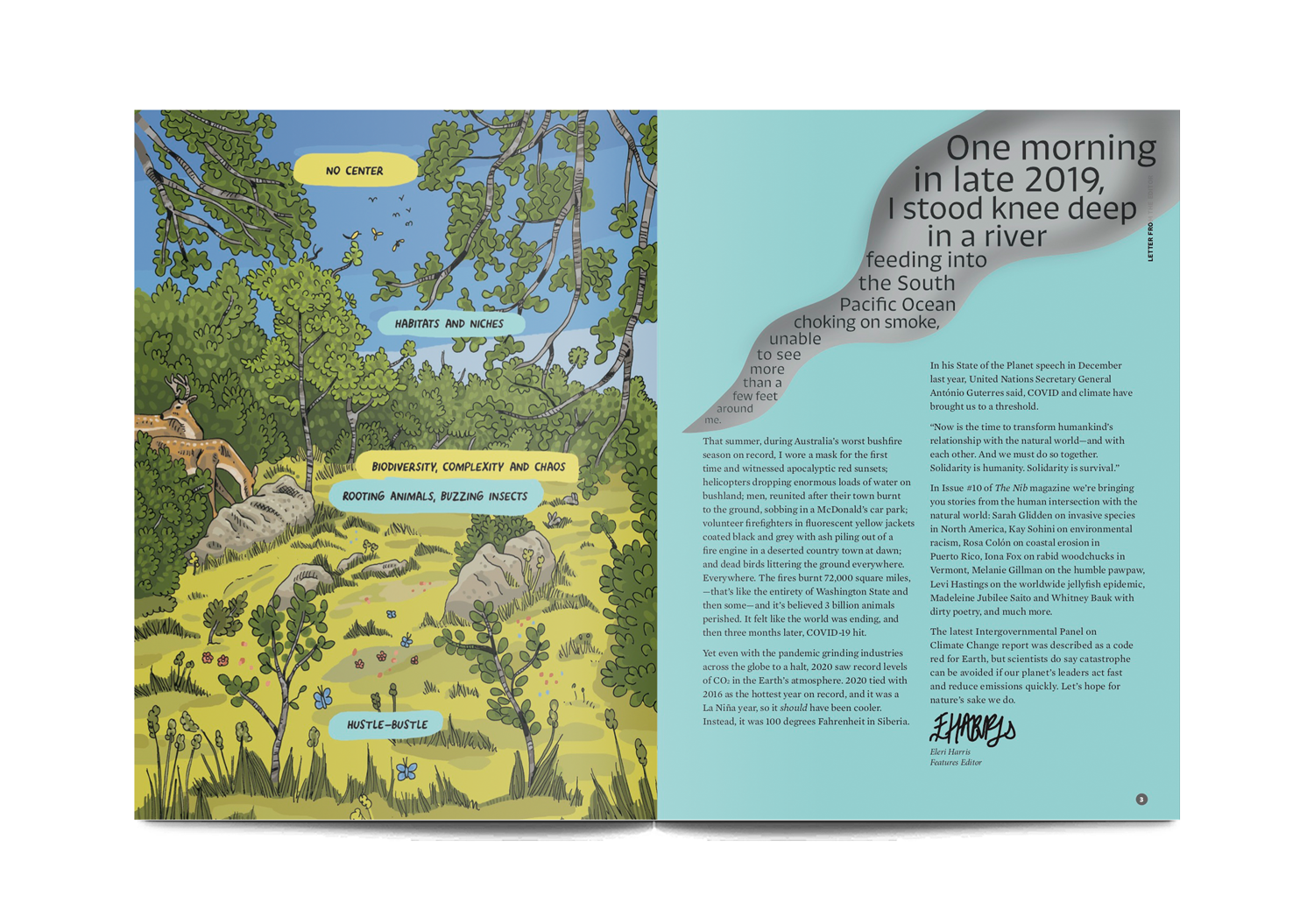 The Nib issue 10 - STACK magazines