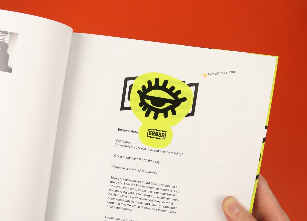 Stickers and rebellion in Gross magazine - STACK magazines