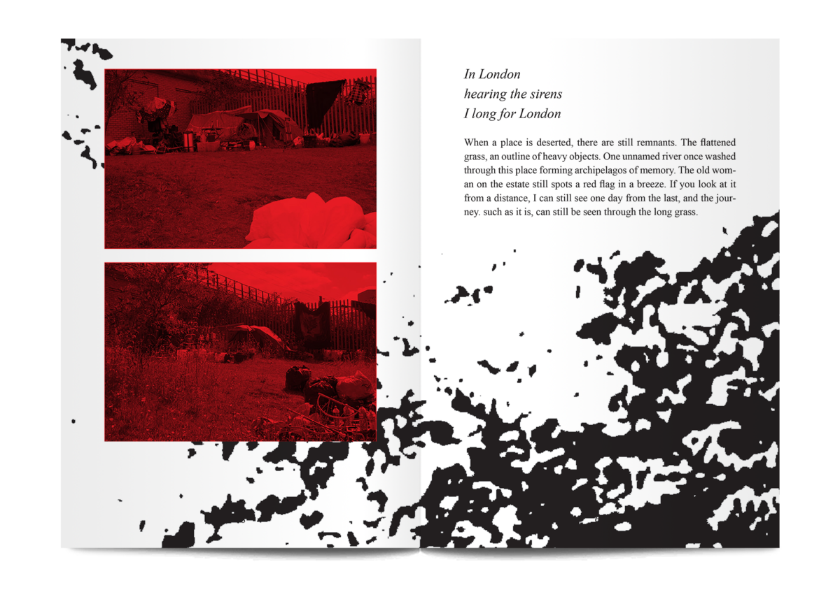 Offal issue 1 - STACK magazines