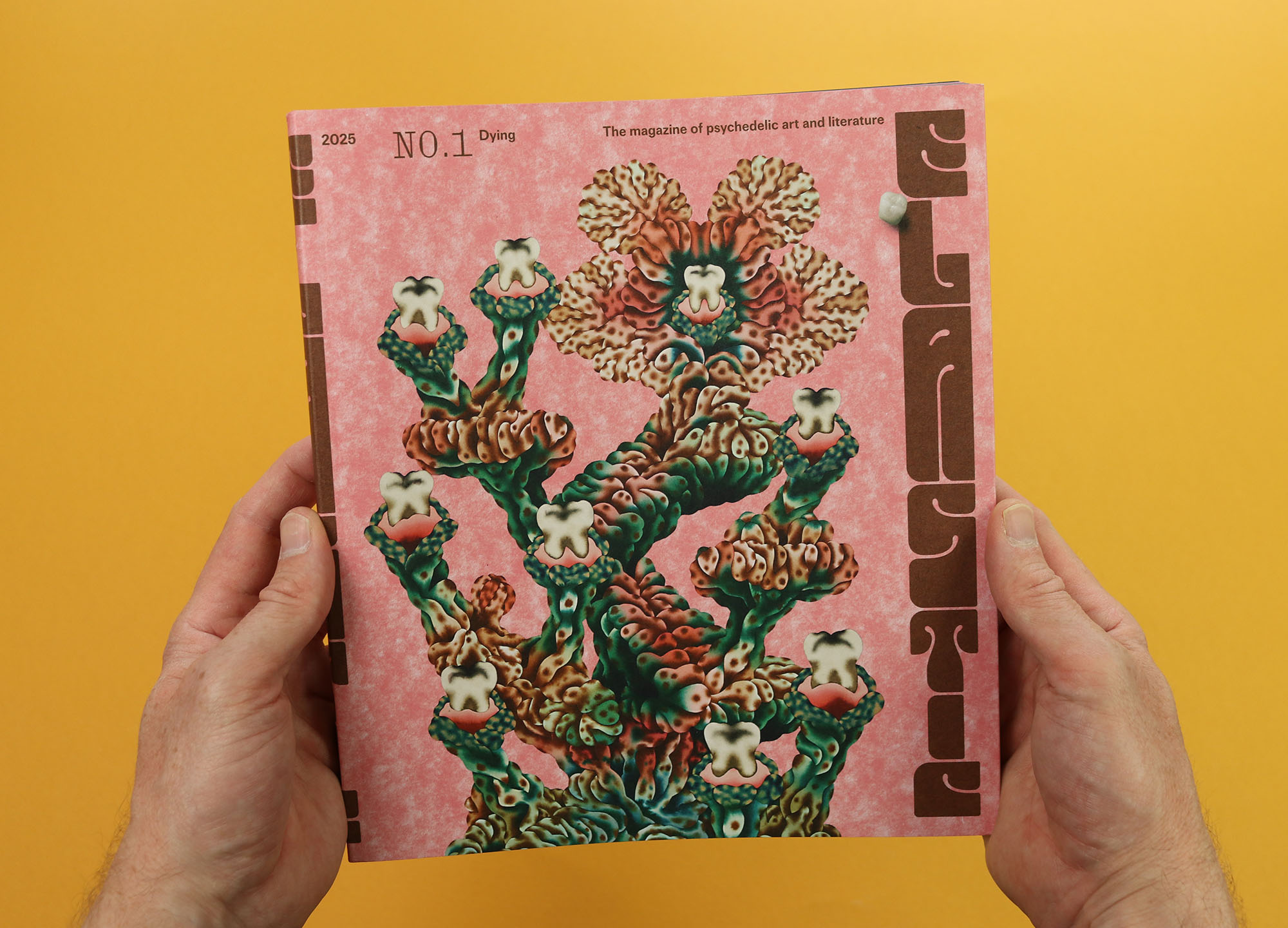 Elastic magazine