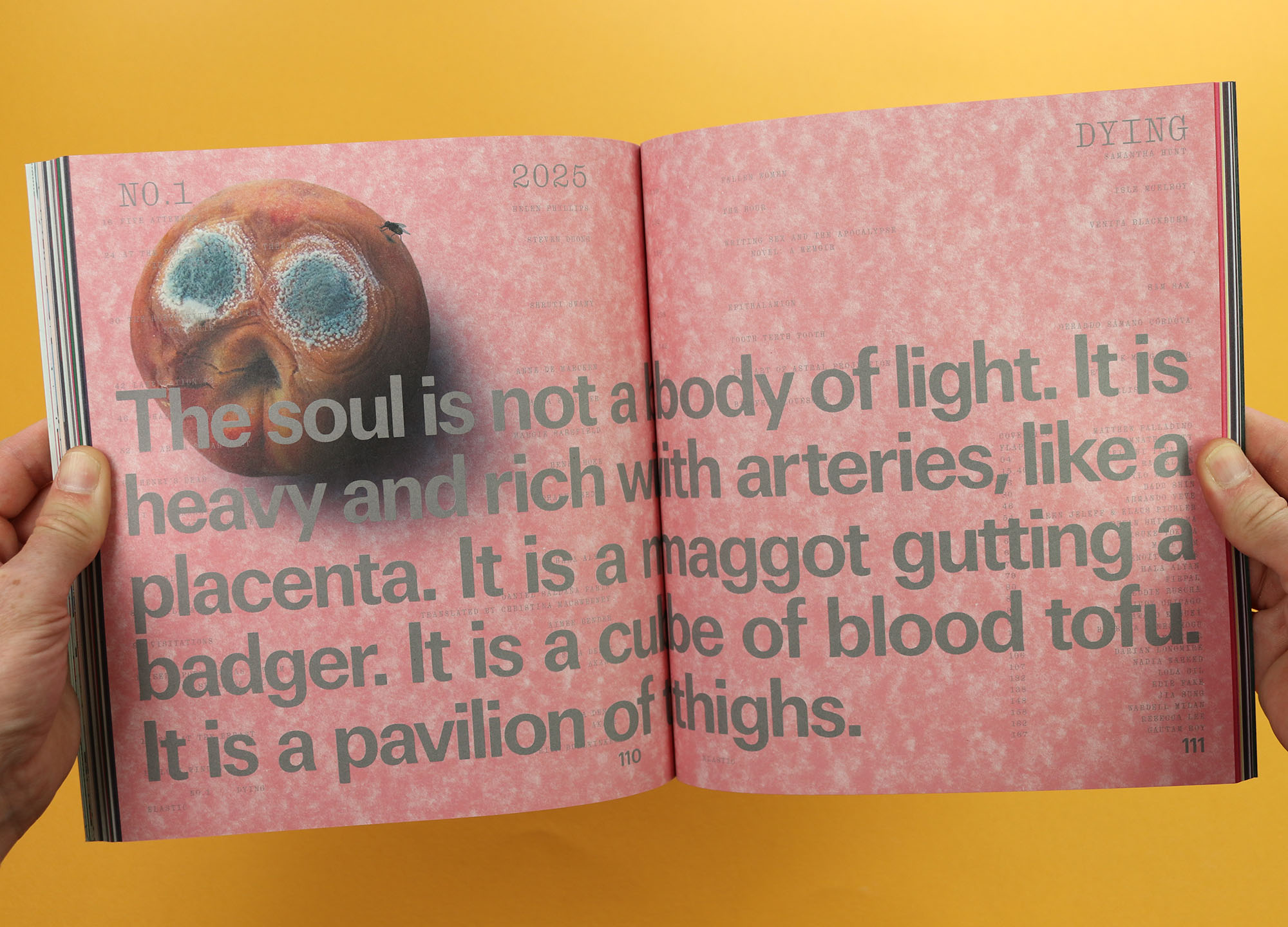 Elastic magazine